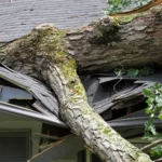 Storm Damage roof repair in Los Angeles