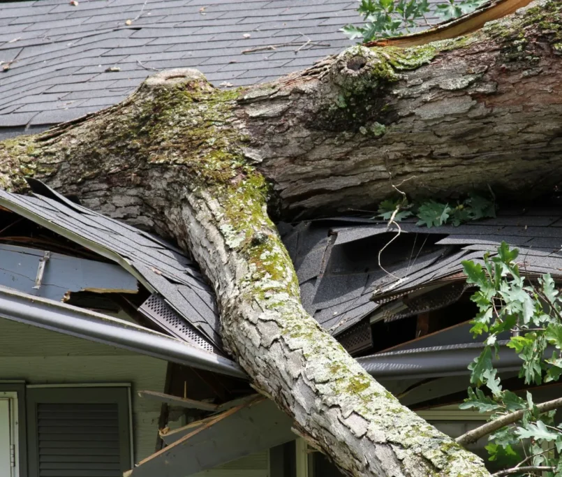 Storm Damage roof repair in Los Angeles