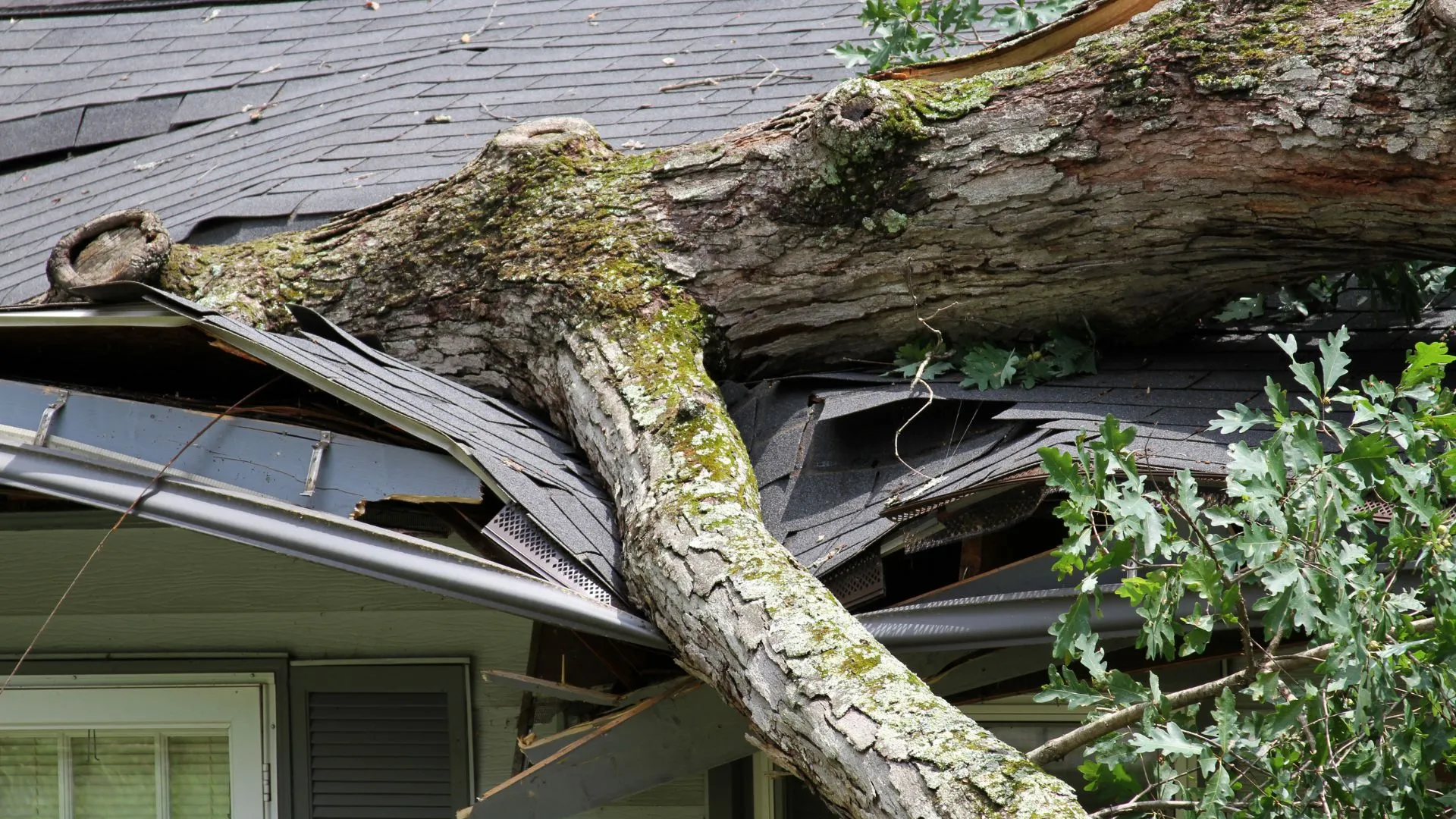 Storm Damage roof repair in Los Angeles