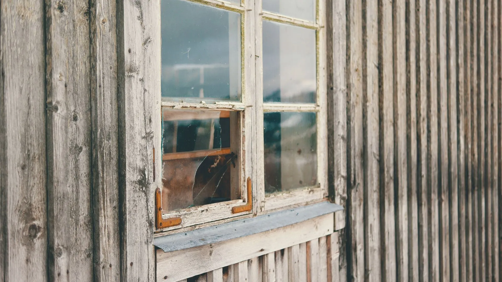 Window Frames Are Rotting or Damaged