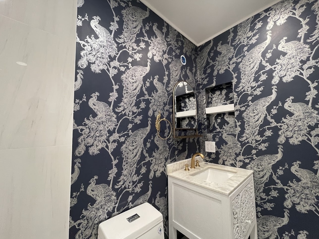 Toilet remodeling project in Los Angeles