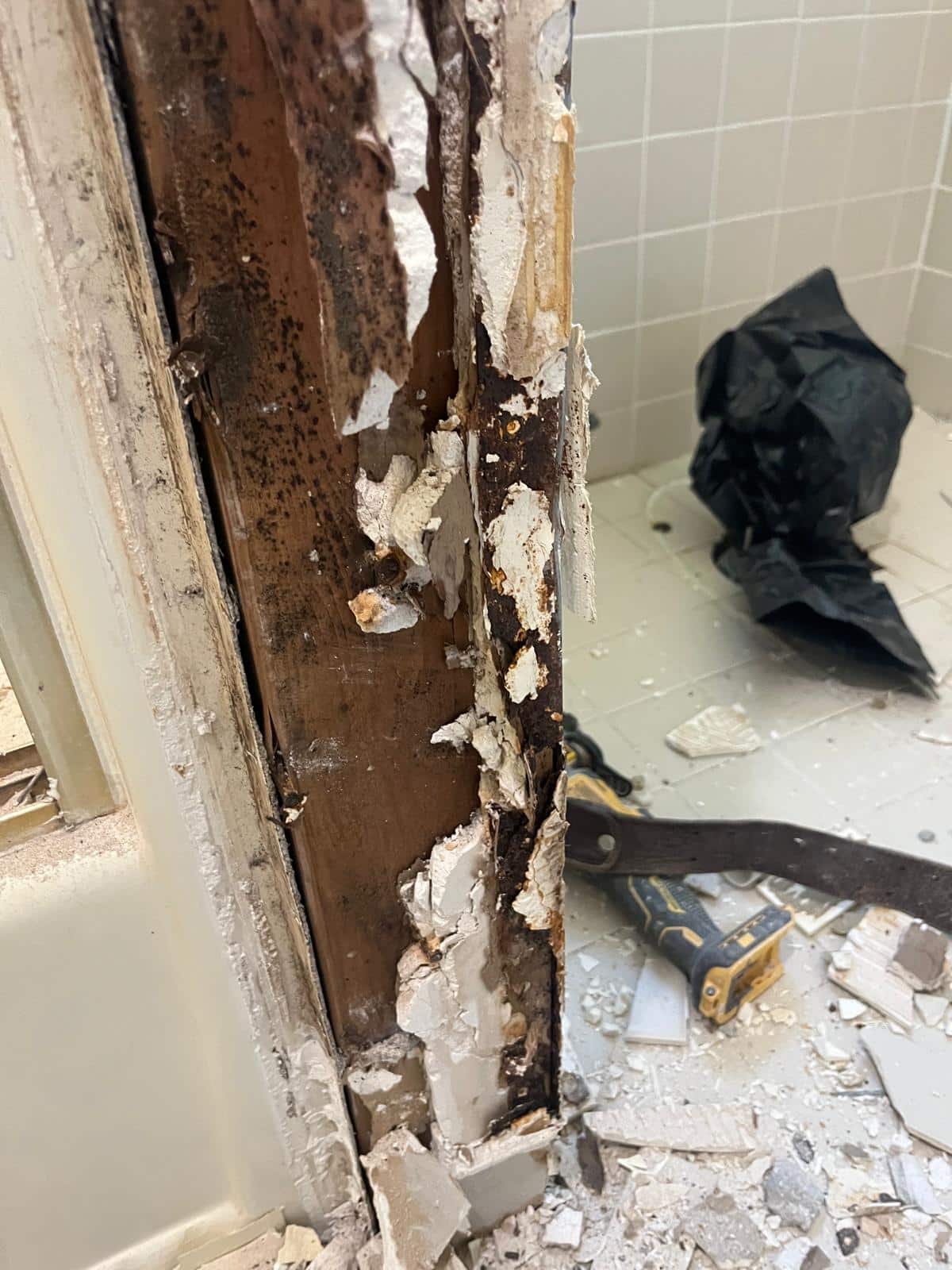 Media 5